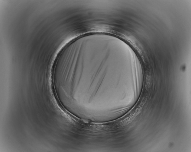 X0000098191331200805151155