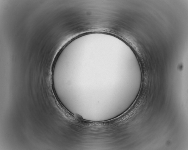X0000098191332200805151155