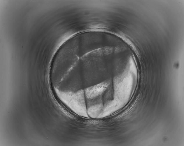 X0000098191333200805151155