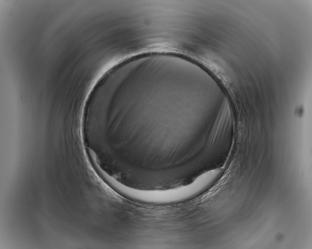 X0000098191334200805151155
