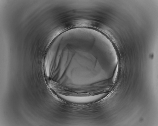 X0000098191337200805151155