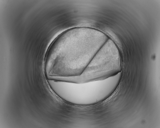 X0000098191340200805151156