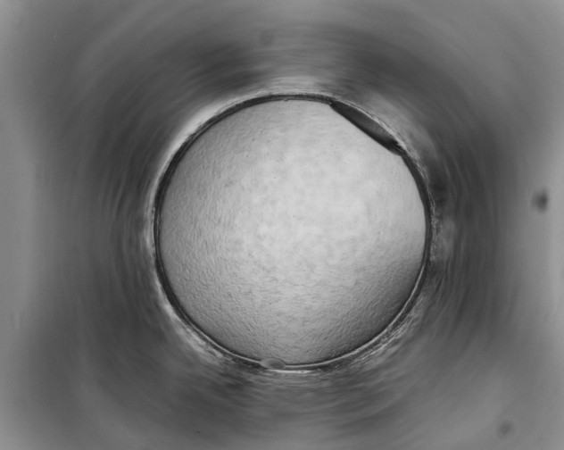 X0000098191342200805151156