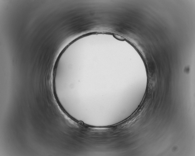X0000098191343200805151156