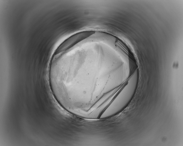 X0000098191344200805151156