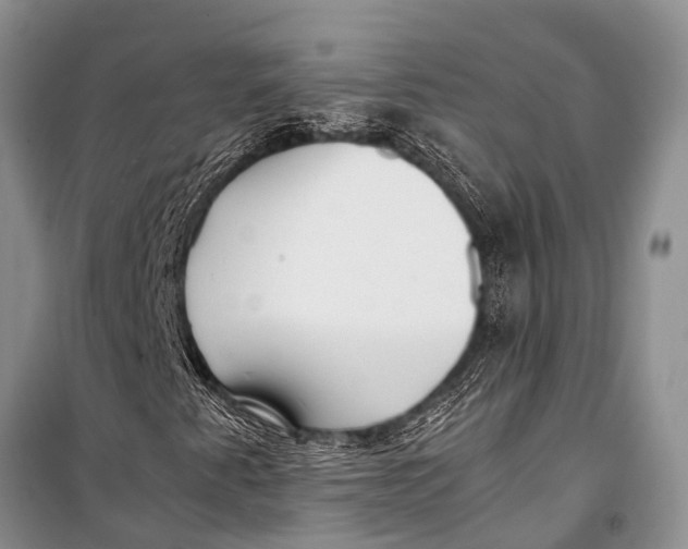 X0000098191345200805151155