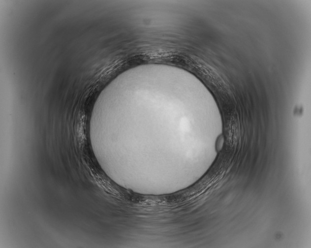 X0000098191346200805151155