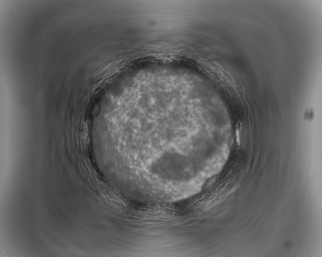 X0000098191347200805151155