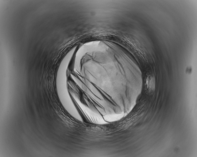X0000098191348200805151155