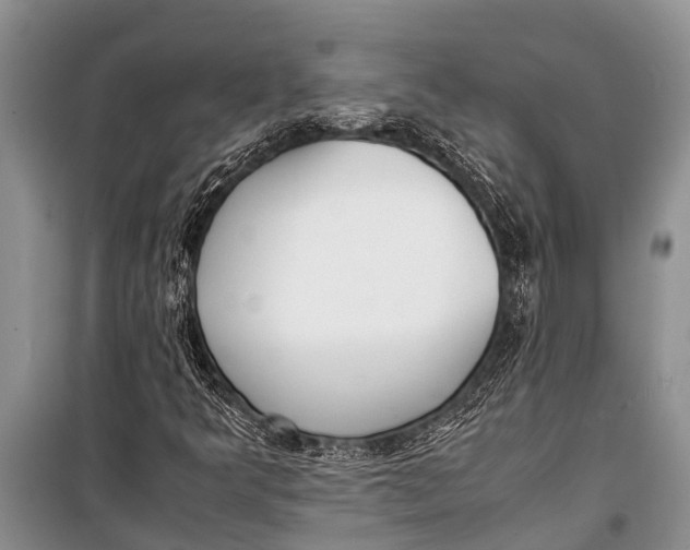 X0000098191349200805151154