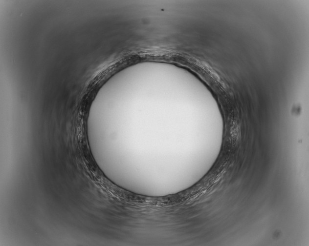 X0000098191350200805151154