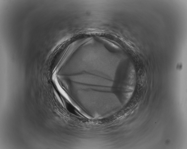 X0000098191351200805151154