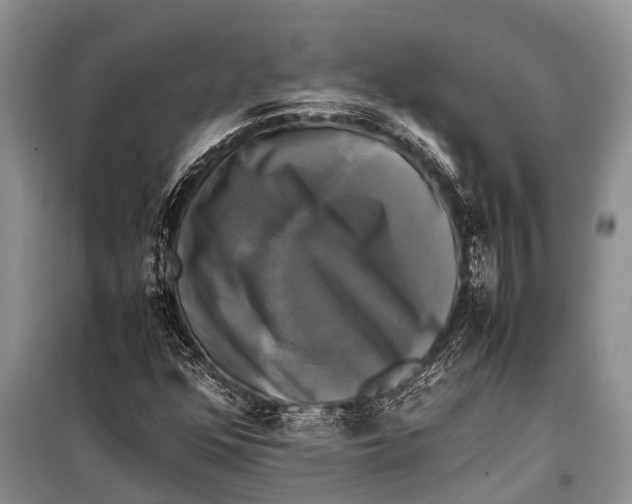 X0000098191352200805151154