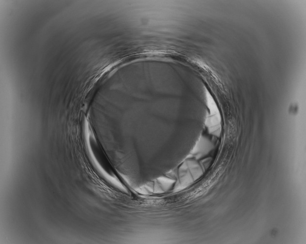 X0000098191353200805151154