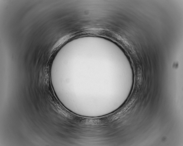 X0000098191354200805151154