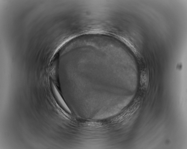 X0000098191356200805151154