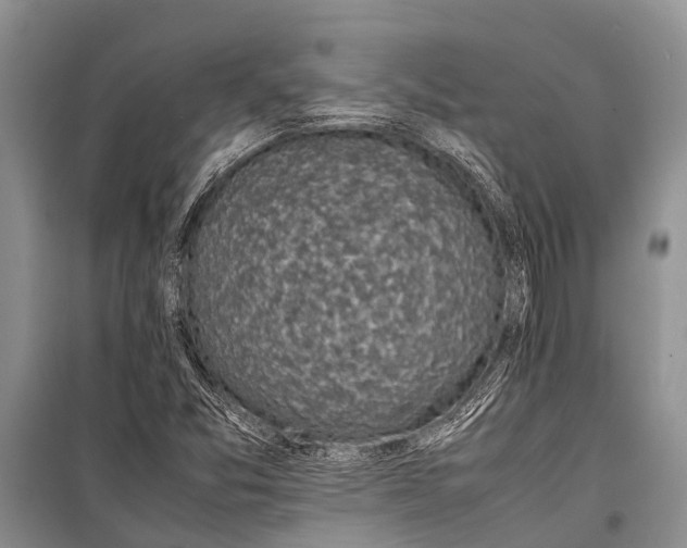 X0000098191357200805151154