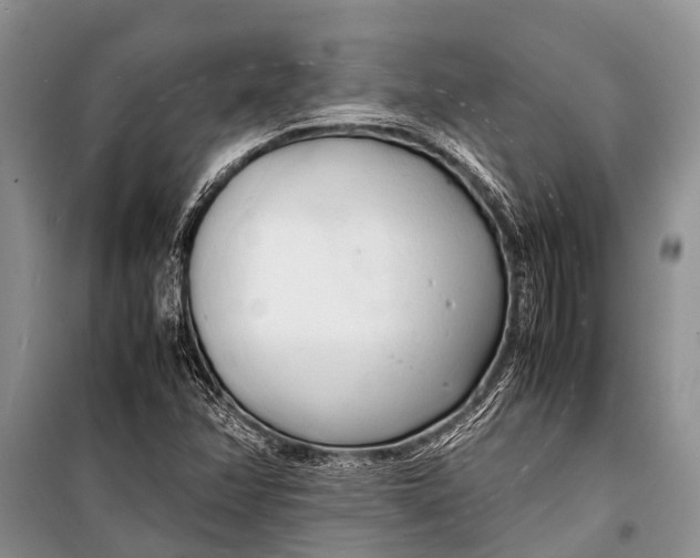 X0000098191358200805151154