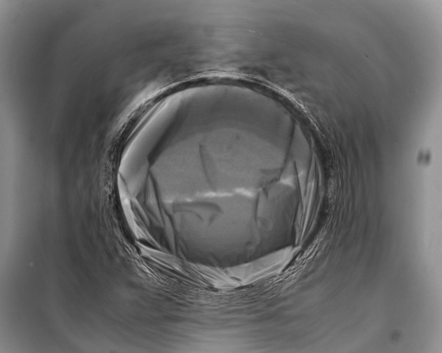 X0000098191359200805151154