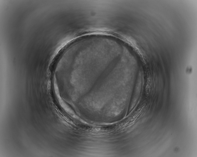 X0000098191360200805151154