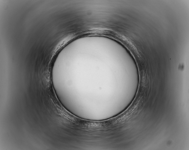 X0000098191362200805151154