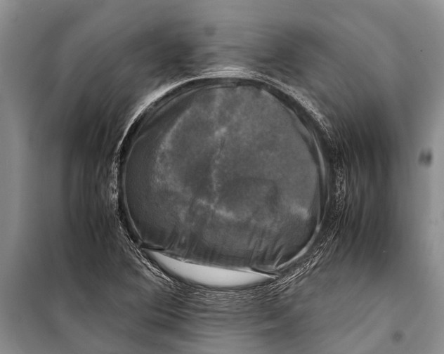 X0000098191364200805151154