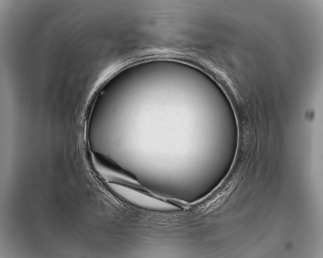 X0000098191365200805151154