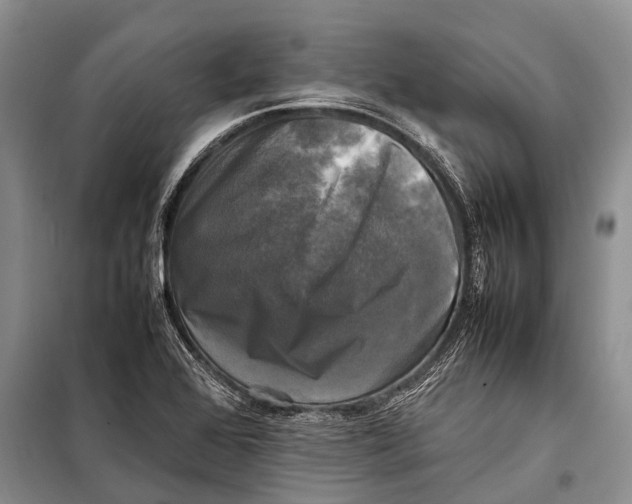 X0000098191368200805151154