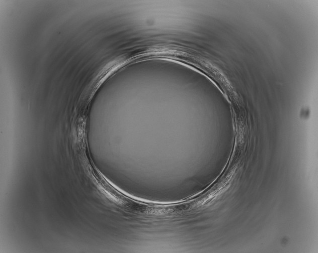 X0000098191369200805151154
