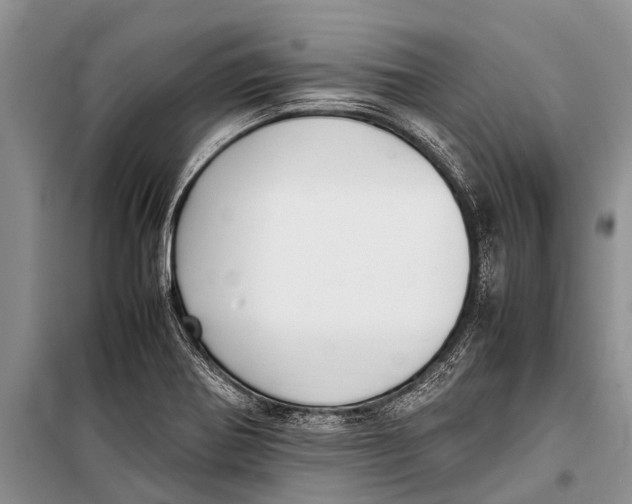 X0000098191370200805151154
