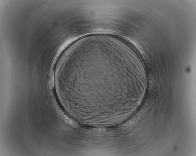 X0000098191371200805151154
