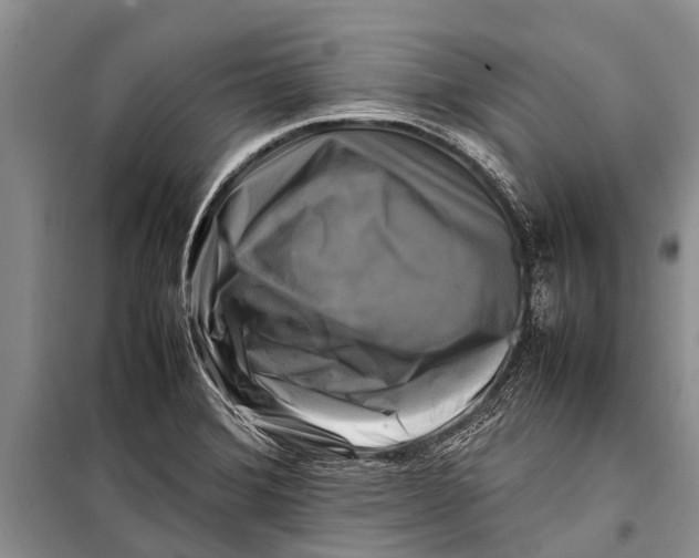 X0000098191372200805151154