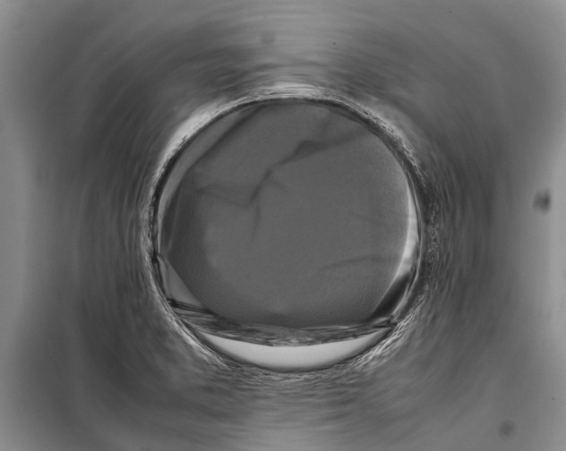X0000098191373200805151154
