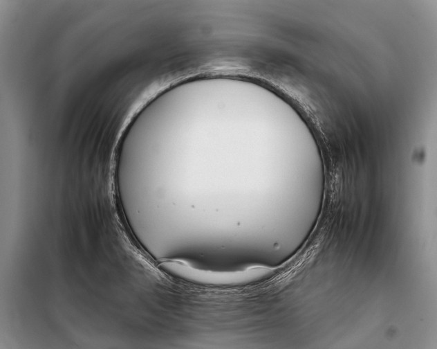 X0000098191374200805151154