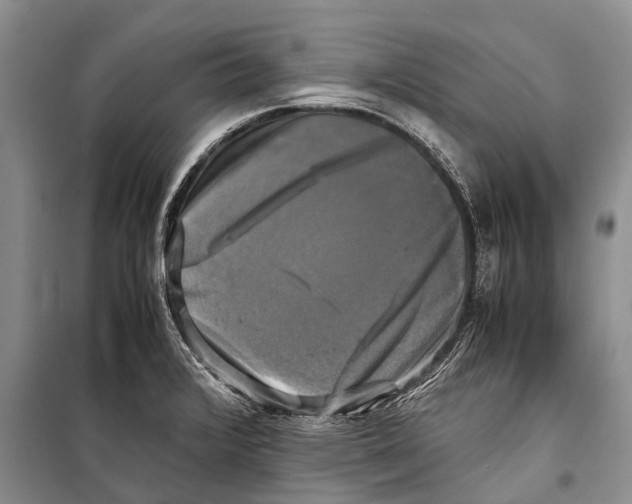 X0000098191376200805151154