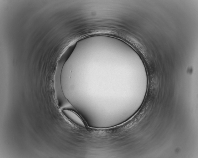 X0000098191377200805151154