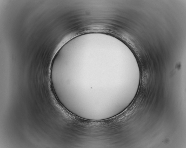 X0000098191378200805151154