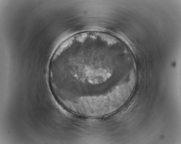 X0000098191379200805151154