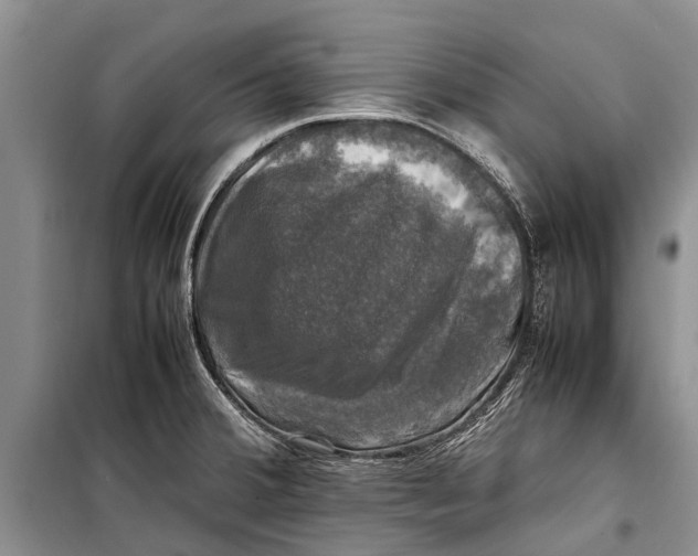 X0000098191380200805151154