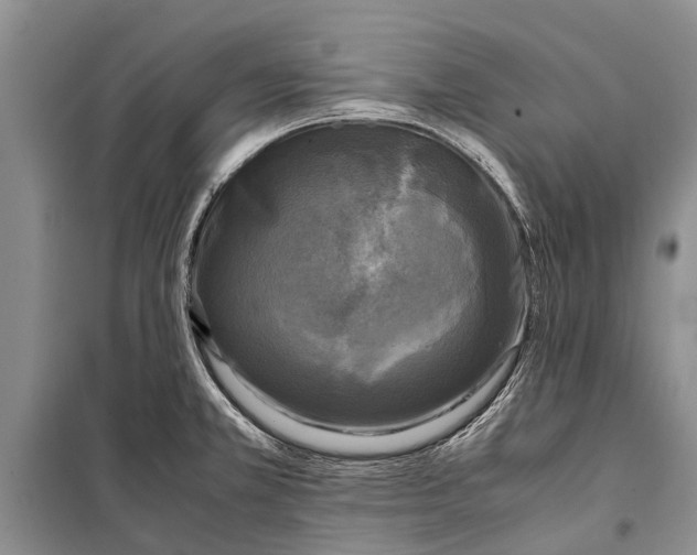 X0000098191381200805151154