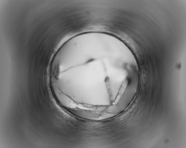 X0000098191382200805151154