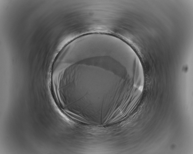 X0000098191383200805151154