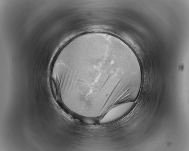 X0000098191384200805151154