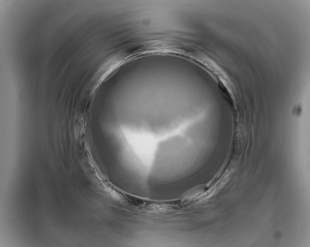 X0000098191385200805151154