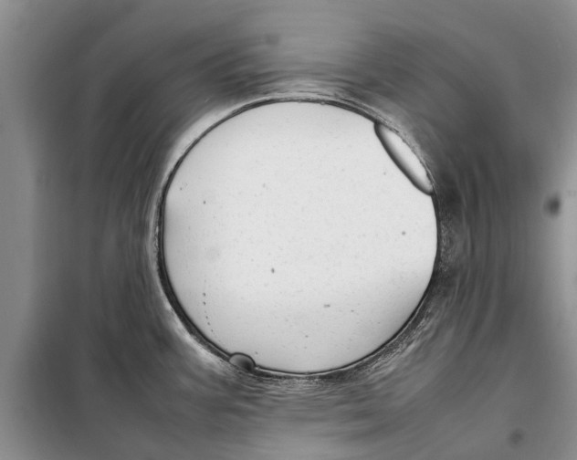 X0000098191387200805151154