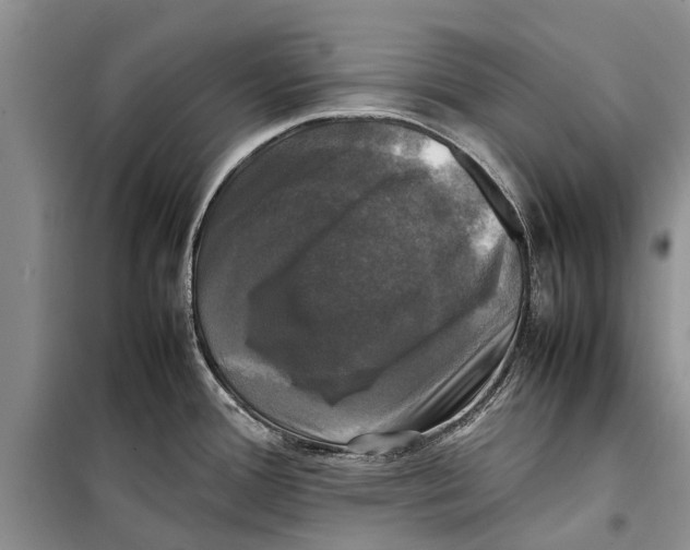 X0000098191388200805151154