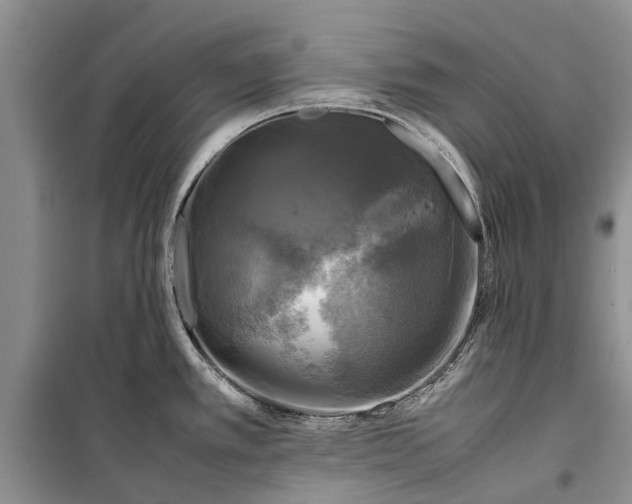 X0000098191389200805151154