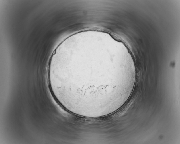 X0000098191391200805151154