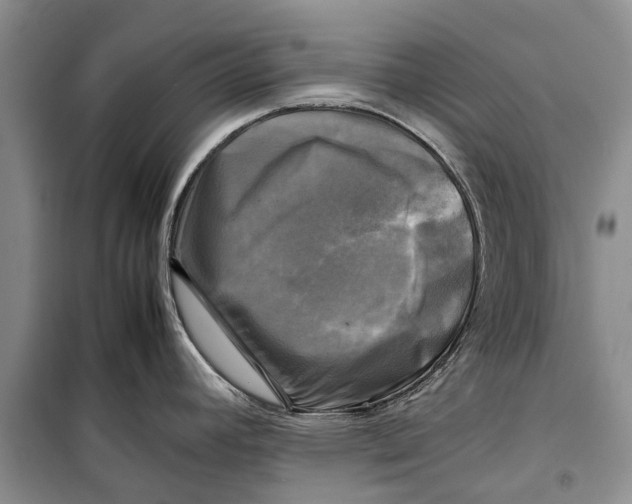 X0000098191392200805151154