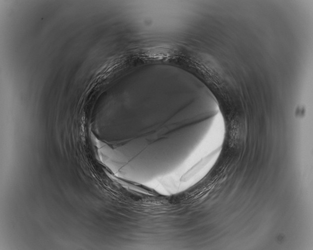 X0000098191394200805151153